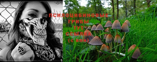 молекула духа Остров