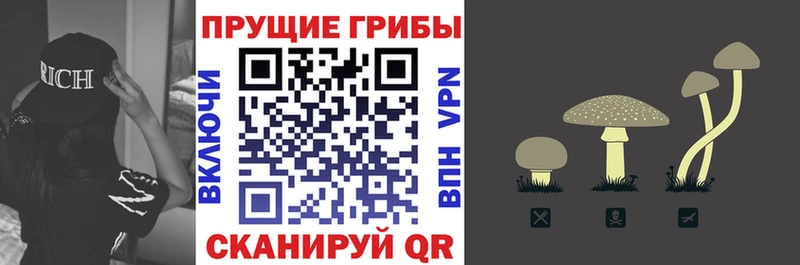 Псилоцибиновые грибы Psilocybine cubensis Ливны