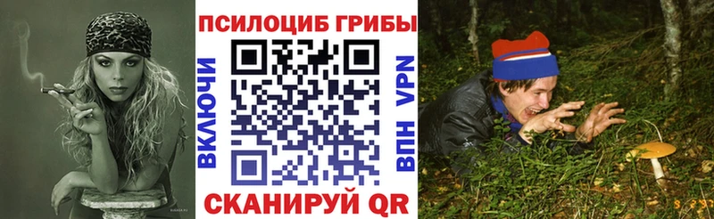 мега ссылка  Ливны  Галлюциногенные грибы Psilocybe 